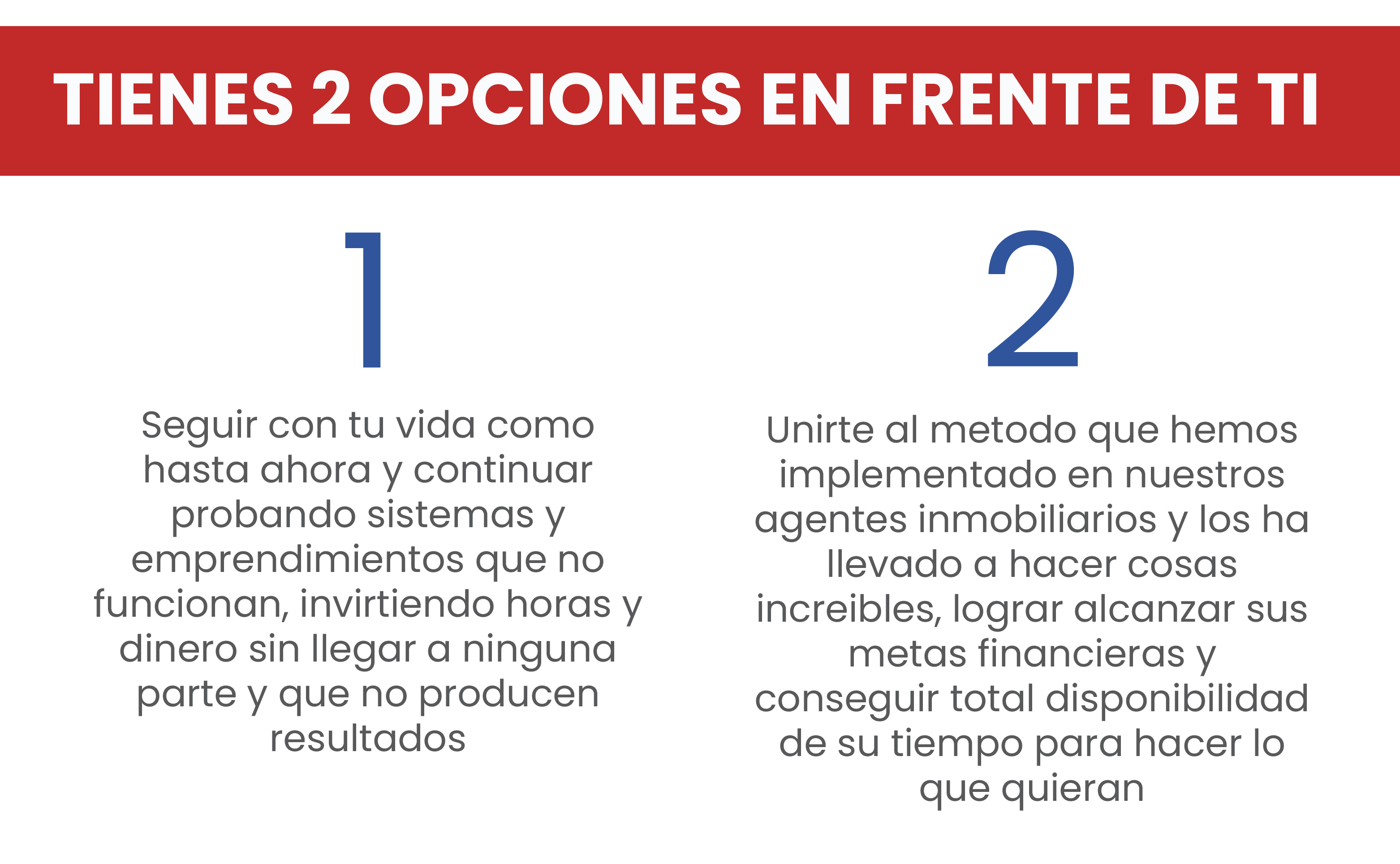 Descripción de la imagen